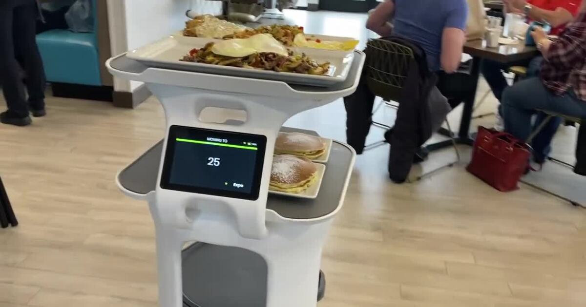 Golden Nest’s newest employee is a robotic food runner, bussing bot